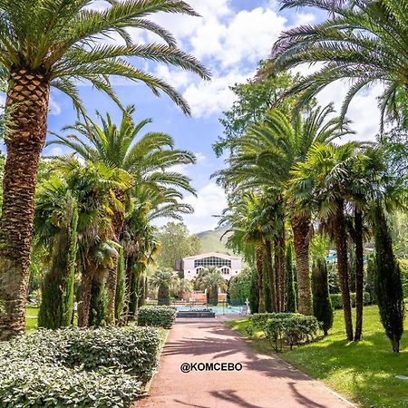Appartement T1 Bis Avec Jardin Prive Et Piscine, 4 Pers, Cambo-Les-Bains - Fr-1-495-13 Екстериор снимка